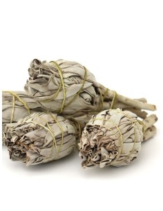 Bundle of White Sage, 11-13cm - Incense for Rituals - MundoYoga Yoga Shop Specializing in Yoga