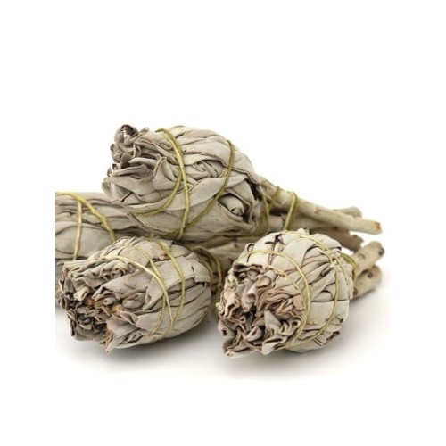 Bundle of White Sage, 11-13cm - Incense for Rituals - MundoYoga Yoga Shop Specializing in Yoga